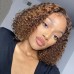 Stema #4/27 highlight 13x4 Lace Front Curly Bob Wig
