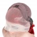 Stema Red Body Wave 13x4 Transparent Lace Front Human Hair Wig