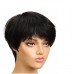 Stema Pixie Cut Straight Human Hair Machine Made Wig