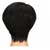 Stema Pixie Cut Straight Human Hair Machine Made Wig