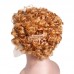 Stema Ombre Pixie Cut Wig T Part Human Hair Wigs Curly