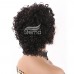 Stema Pixie Cut Wig T Part Human Hair Wigs Curly