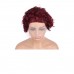 Stema #99J Pixie Cut Wig T Part Human Hair Wigs Curly