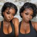 Stema Pixie Cut Wig T Part Human Hair Wigs Curly