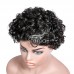 Stema Pixie Cut Machine Made  Jerry Curl Wig Human Hair 