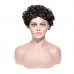 Stema Pixie Cut Machine Made  Jerry Curl Wig Human Hair 