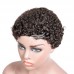 Stema Pixie Cut Human Hair Machine Made Wig Afro Kinky Curl