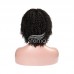 Stema Human Hair Machine Made Wig Kinky Curly