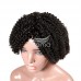 Stema Human Hair Machine Made Wig Kinky Curly